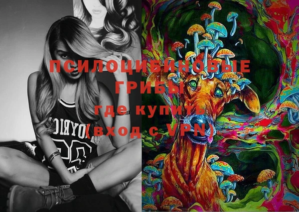 круглые Алзамай