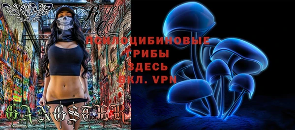 круглые Алзамай