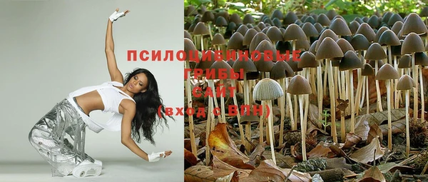 круглые Алзамай
