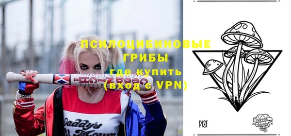 круглые Алзамай