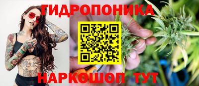 трава Гай
