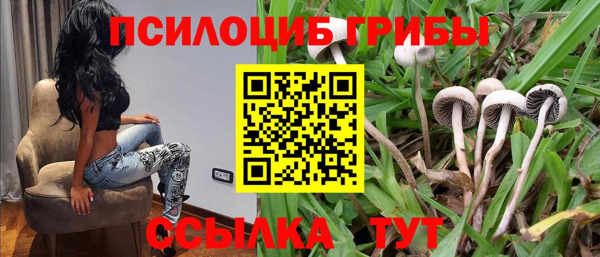 Галлюциногенные грибы Cubensis Каменск-Уральский