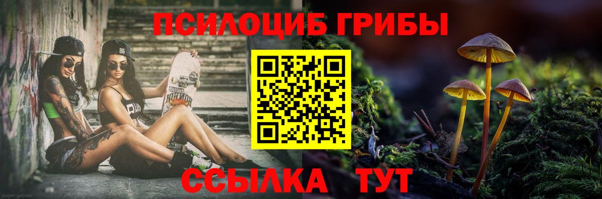 Каменск-Уральский  Псилоцибиновые грибы Cubensis  Вход с VPN  Псилоцибиновые грибы Psilocybine cubensis 